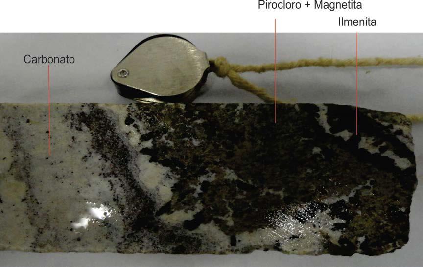 Os minerais constituintes da rocha são: magnetita, pirocloro, calcita e ilmenita. 5.1.