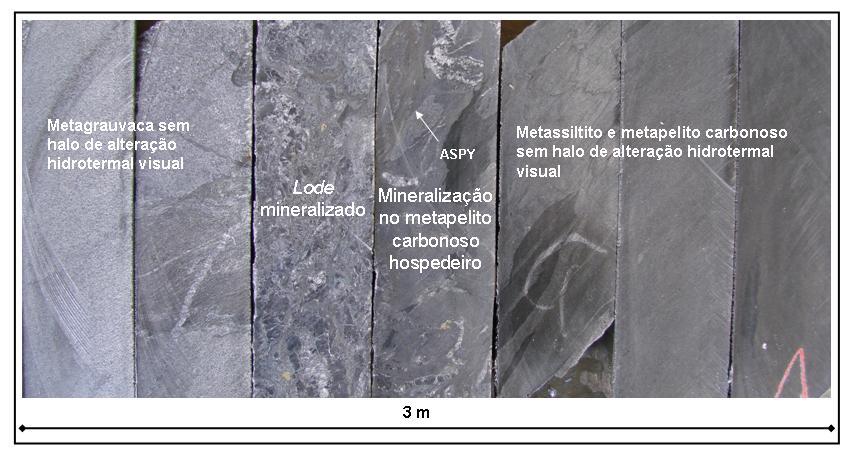 Foto 27 Principal estilo de mineralização no lineamento Córrego do Sítio.