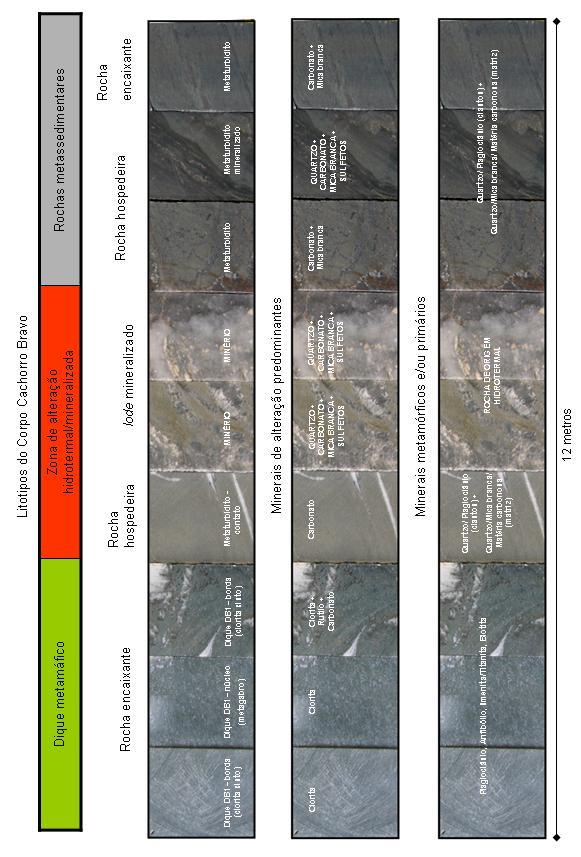 Figura 29 Tipos de alteração hidrotermal em zonas mineralizadas nos litotipos metassedimentares bpróximos a