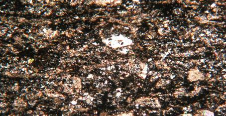 A assembléia mineral é típica de alteração hidrotermal e pode ser denominada como uma "Associação carbonato-quartzo-mica branca-clorita-pirita".