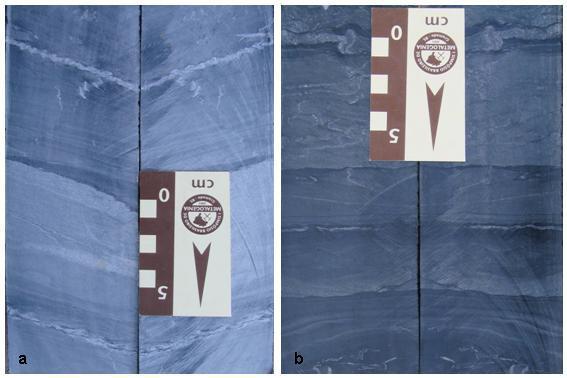 Foto 3 Fotografias de testemunhos de sondagem exemplificando as feições primárias preservadas, como acamamento gradacional em metaturbiditos centimétricos. (a) porção psamítica predominante.