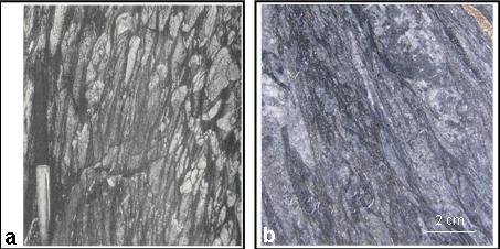 Foto 7 (a): exemplo de transposição do acamamento em arenito bandado (in McClay, 1987) e (b): transposição do acamamento em metarritmito mineralizado (filito carbonoso, arsenopirita, veio de
