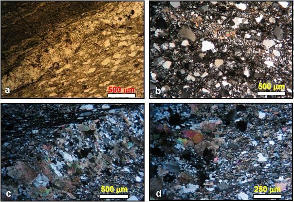 Foto 14 Fotomicrografias de metapsamitos (metagravacas) em diversos estágios de alteração hidrotermal. a Venulação no contato entre metagrauvaca e metapelito carbonoso, orientada segundo S0.