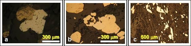 Foto 23 Fotomicrografias das zonas mineralizadas no corpo Cachorro Bravo. a Arsenopirita formada a partir do consumo de pirrotita.