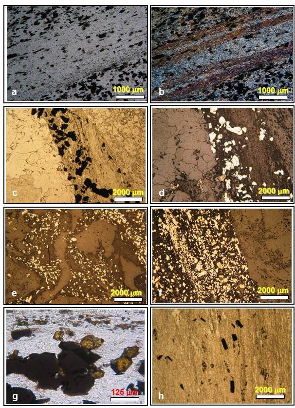 Foto 24 Fotomicrografias das zonas mineralizadas. Em todas as fotomicrografias a arsenopirita é o sulfeto predominante.