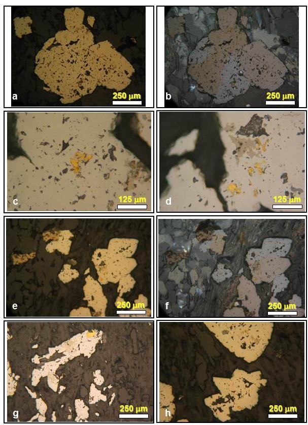 Foto 25 Fotomicrografias da associação pirrotita + arsenopirita, característico das lentes mineralizadas próximas a diques metamáficos DB1. As amostras são das lentes da série 200 e uma da série 100.