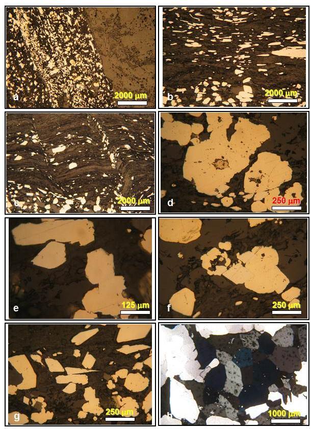 Foto 26 Fotomicrografias em zonas mineralizadas em litotipos metassedimentares distantes dos diques metamáficos com a associação de pirita/pirita arsênica + arsenopirita.