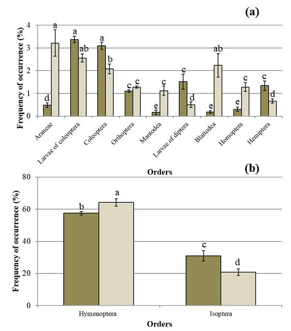 Resultados experimentais Grupo Tenda Menos frequentes Araneae Coleoptera Orthoptera Mantodea Blattodea Homoptera Hemiptera Mais frequentes Hymenoptera Isoptera Fig.