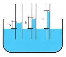 Capilaridade As moléculas de água são atraídas e se aderem às paredes do tubo.