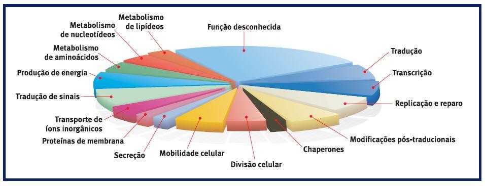 Paradigmas da Bioinformática Frequentemente esse é o perfil de resultados de trabalhos em Genômica Ciência descritiva.