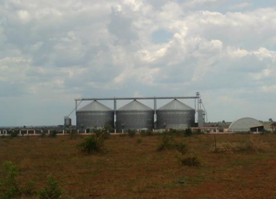 Estas estruturas baseiam-se em três silos circulares, colocados adjacentemente, com capacidade total entre 12 000 ton (capacidade unitária de 4 000 ton).