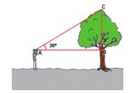 Atividade para ser dada aos alunos a)você tem alguma sugestão para calcular a altura de uma árvore utilizando um teodolito e uma trena?