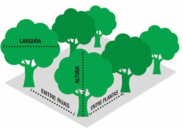 VOLUME DE CALDA Para determinar o volume de aplicação, além dos fatores que interferem na pulverização, deve-se levar também em consideração as características das copas das plantas.