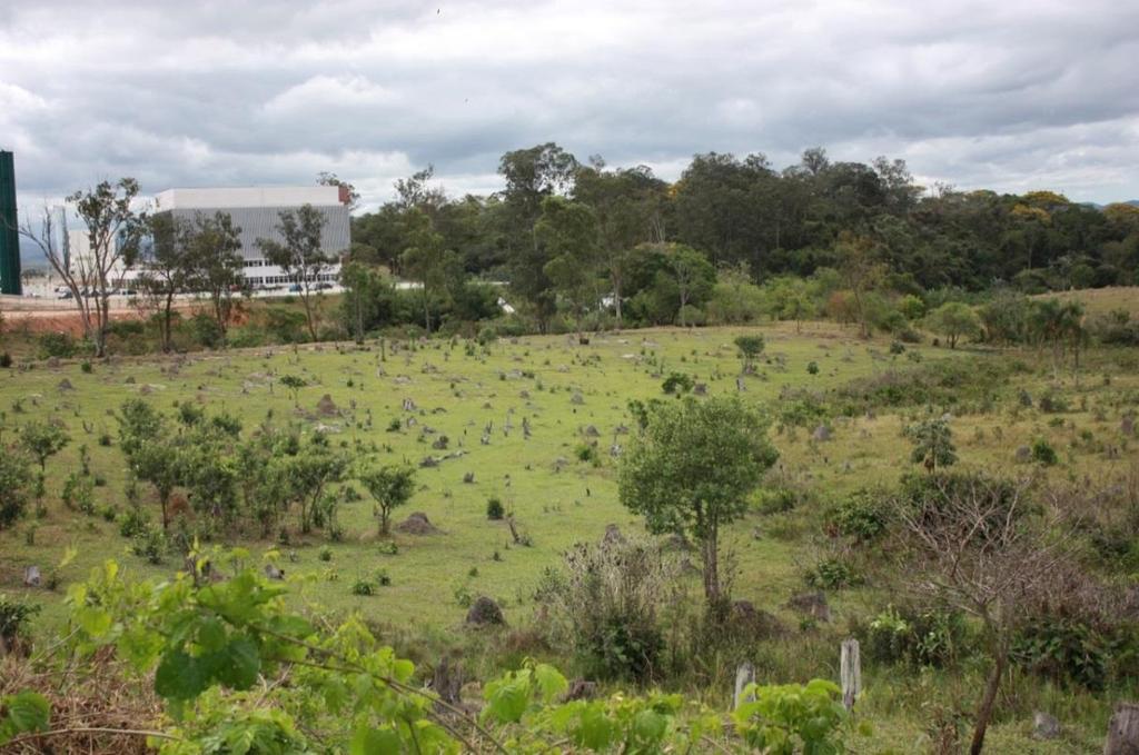 ANEXO XIII RELATÓRIO ARBÓRIO DA FUTURA ÁREA DA MORADIA ESTUDANTIL CAMPUS SÃO JOSÉ DOS CAMPOS Realizou-se visita ao terreno localizado em São José dos Campos nos dias 03/10/14 e 14/10/2014, com o