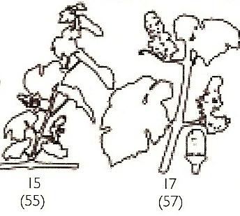 Estado principal 5 Emergência da inflorescência Eichern & Lorenz (1977) e Lorenz et al.