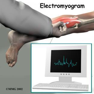 Antropometria EMG