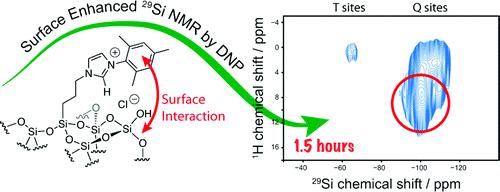 Grupos superficiais em carvões ativados Uso de RMN com polarização dinâmica nuclear (DNP): SENSNMR Emsley et al., J. Am. Chem. Soc.