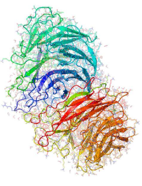 Neuraminidase do virus da