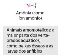 solo ou que vivem associadas a raízes de plantas podem converter N 2 a NH 3- Fixação de nitrogênio