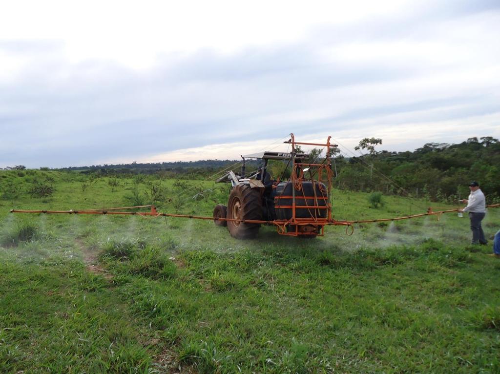 Fazenda Alvorada - Cruzeiro do