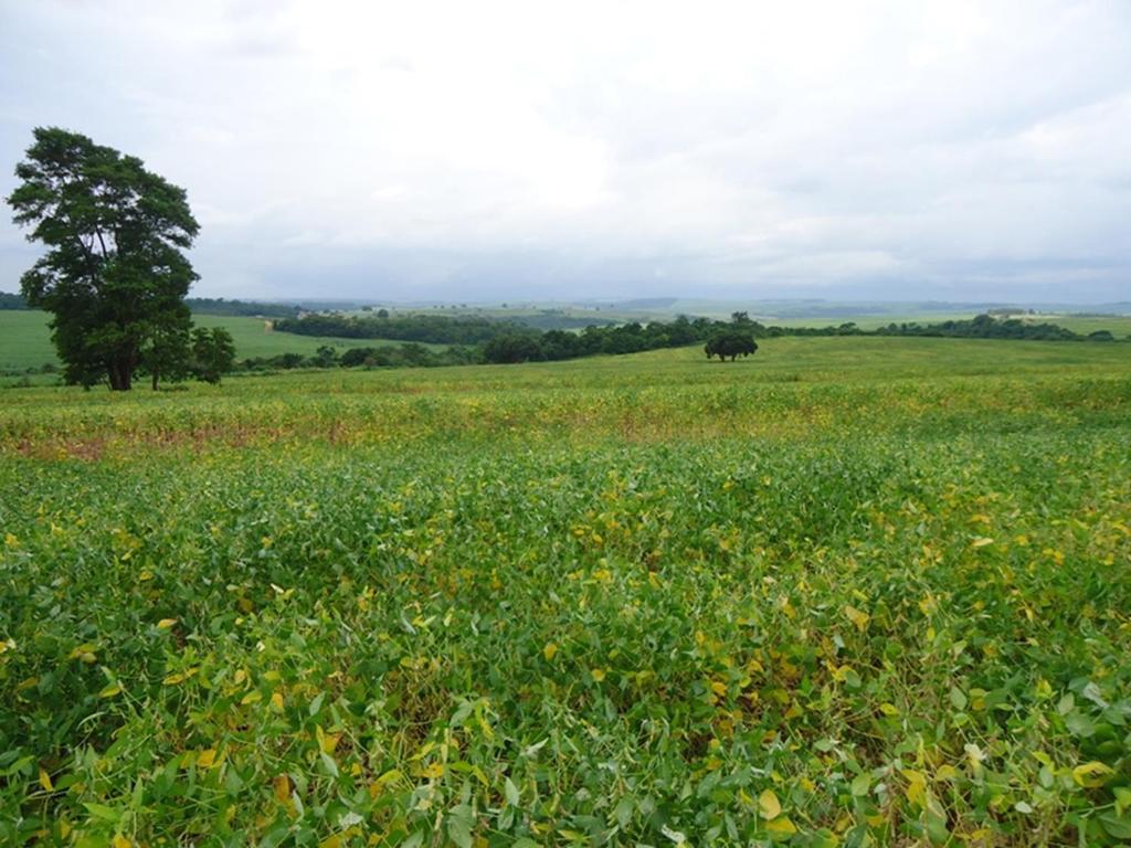 Fazenda Alvorada