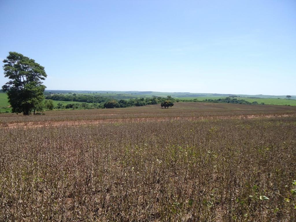 Fazenda Alvorada - Cruzeiro do