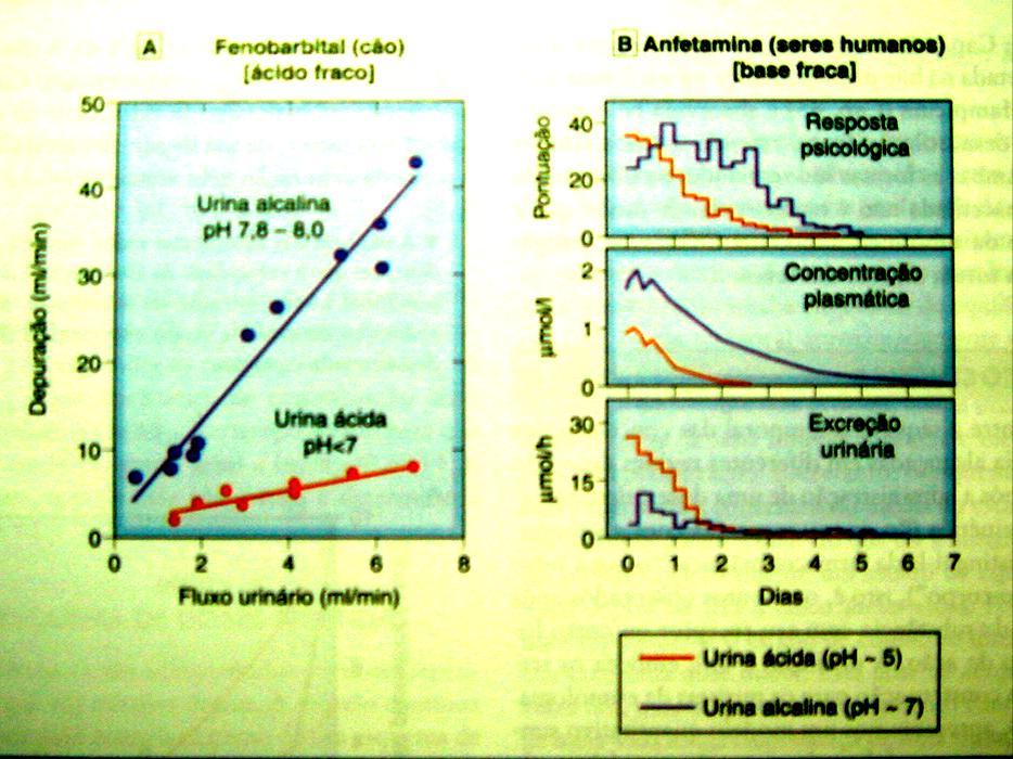Efeito do ph da urina sobre a excreção