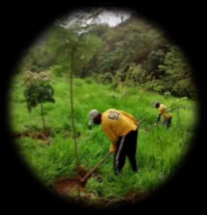 BIÓTICO Números da Gestão Socioambiental