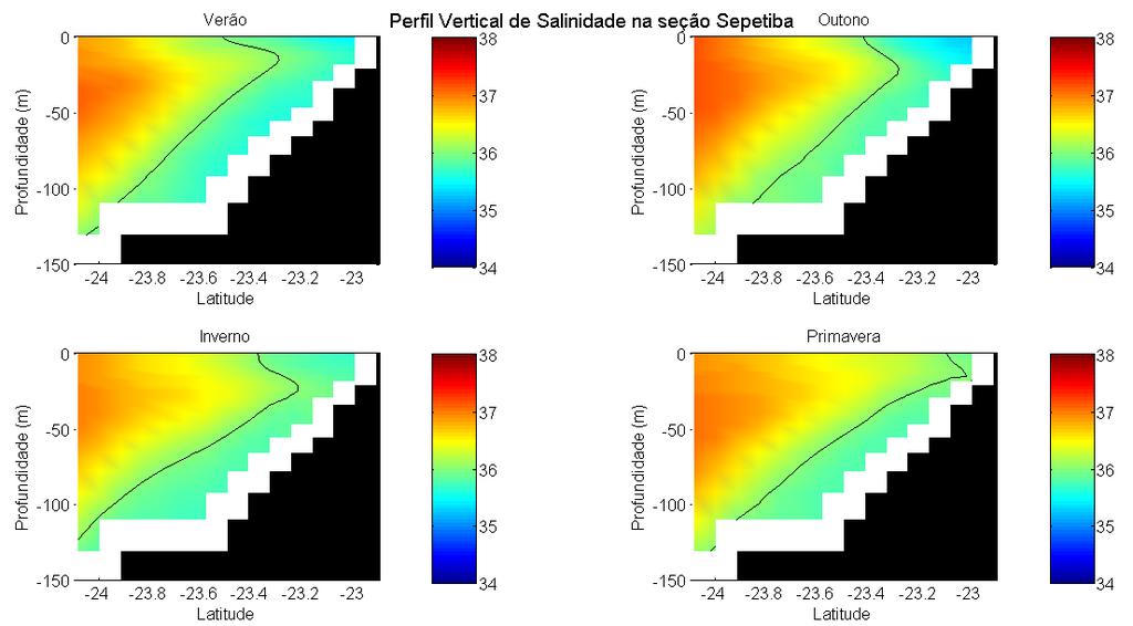 Figura 63: Perfil vertical de salinidade na seção de
