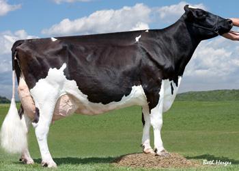 Ever-Green-View My 1326-ET (EX-92 EX-MS) 4-05