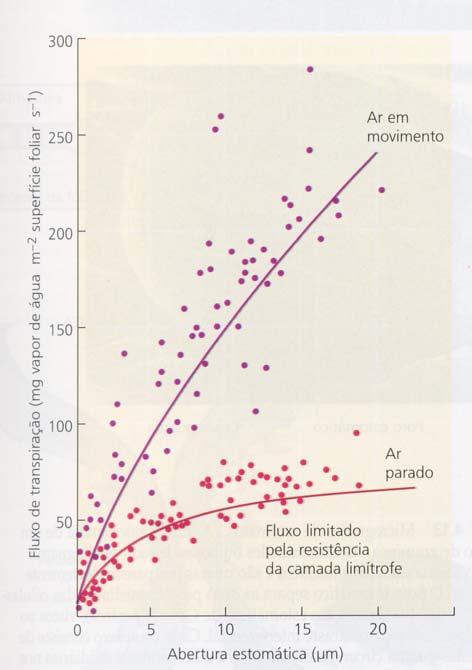 .. Temperatura (no ar) Movimento do ar Quanto mais quente.