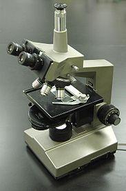 1. Microscópio óptico