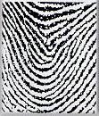 A biometria pode ser expressa de duas formas: Identificadores fisiológicos: incluem impressões digitais, geometria de mão, retina, características faciais, formato da unha.