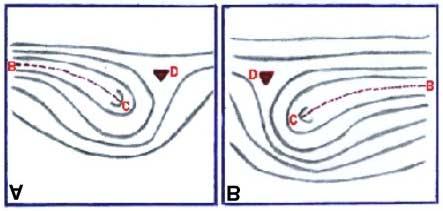 Para distinguir presilha direita de presilha esquerda, observa-se a posição relativa do delta a partir do núcleo (Figura 43).