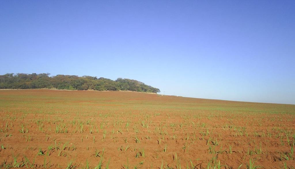 Avaliações Imóveis Rurais e Urbanos, Perícias Judiciais,Retificação fls.