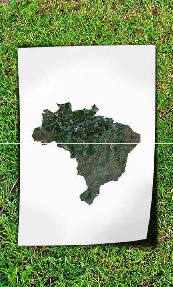 Utilização da terra Distribuição do solo (milhões de hectares) Floresta Amazônica 350 41% Pastagens nativas e cultivadas 220 26% Reservas legais 55 6% Lavouras anuais 46 5,4% Culturas permanentes 10