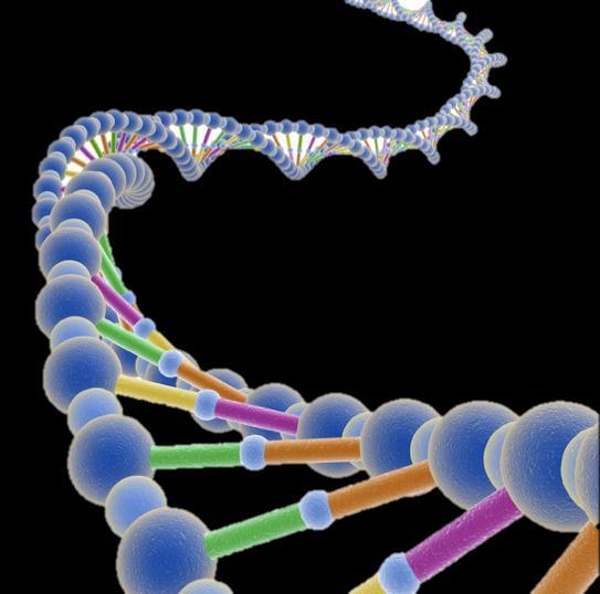 DNA Trabalho realizado por: Rafael Lourenço Fábio