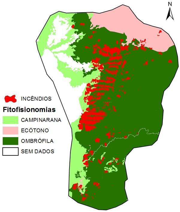 incêndio de 1997 / 98 a maior área atingida (7.000 km 2 ) foi em floresta de Ecótono, uma floresta de dossel aberto e de maior vulnerabilidade aos incêndios (BARBOSA; FEARNSIDE, 1999). Barni et al.