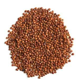 con quinoa * con fibras alimentarias * con con ALIMENTARIA SOVITAL - O mix um dos tesouros da América Latina A quinoa (Chenopodium quinoa) é uma planta de folha larga e um dos chamados pseudocereais