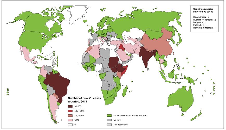 Diagnóstico diferencial: Enterobacteriose, malária, brucelose, febre tifóide, esquistossomose hepatoesplênica, Doença de Chagas, linfoma, mieloma múltiplo, anemia falciforme, toxoplasmose, entre