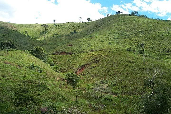 IMPACTO AMBIENTAL Figura