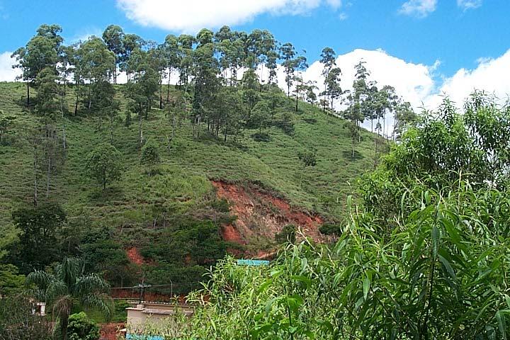 PROJETO DE REPOTENCIAÇÃO ESTUDOS REALIZADOS: IMPACTO AMBIENTAL 43