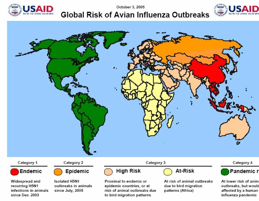 Cenário Mundial da Influenza Plano