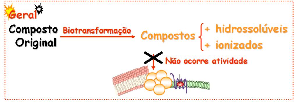 fundamentais das etapas de metabolização (biotransformação) e excreção dos fármacos. Vamos, então, dar início à primeira etapa farmacocinética estudada neste material: a METABOLIZAÇÃO de fármacos.