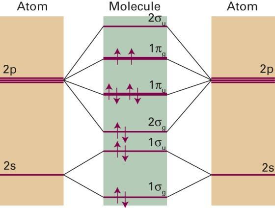 Diagrama de níveis de energias dos orbitais moleculares para moléculas diatômicas homonucleares; As linhas no meio são indicações das