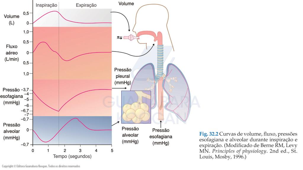 Como é o preenchimento das vias respiratórias?