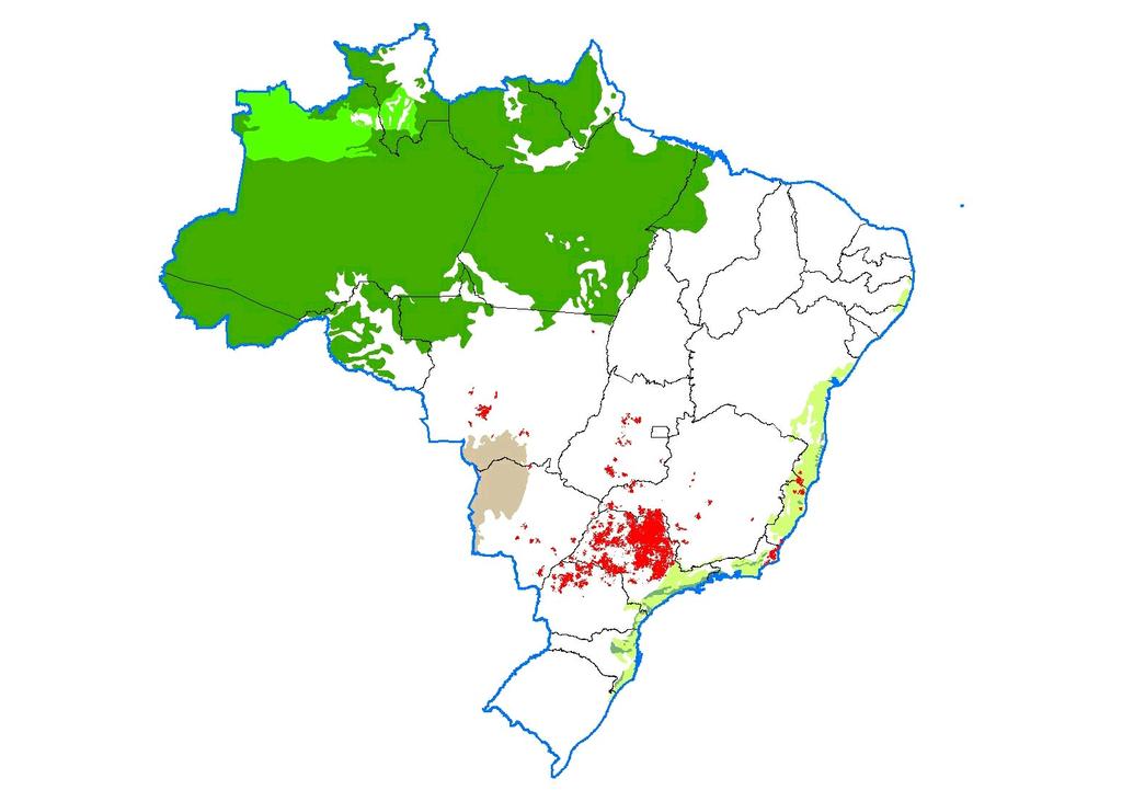 Cana-de-Açúcar no Brasil Floresta Amazônica