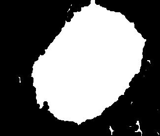 forma oval da Fibra de Vidro; (b)