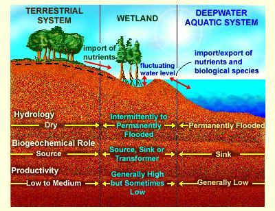 Photo by Lynn Betts, USDA Natural Resources