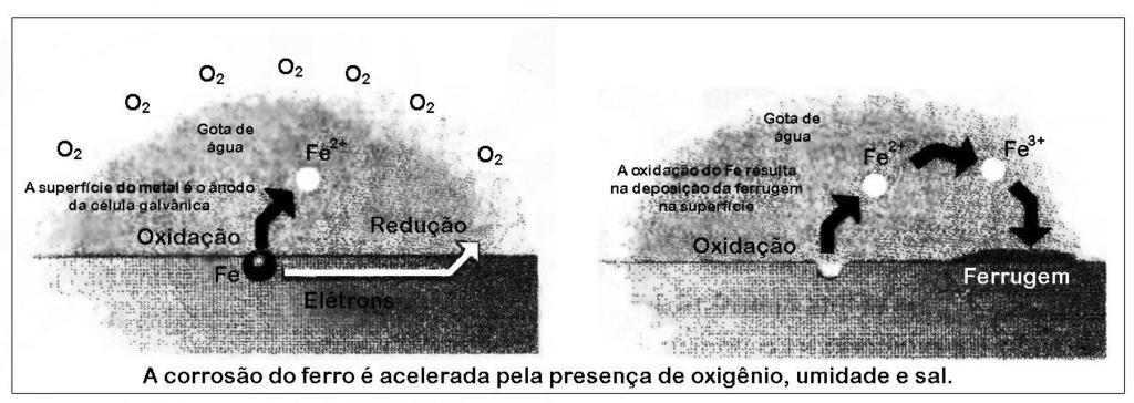 A formação